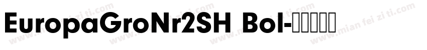 EuropaGroNr2SH Bol字体转换